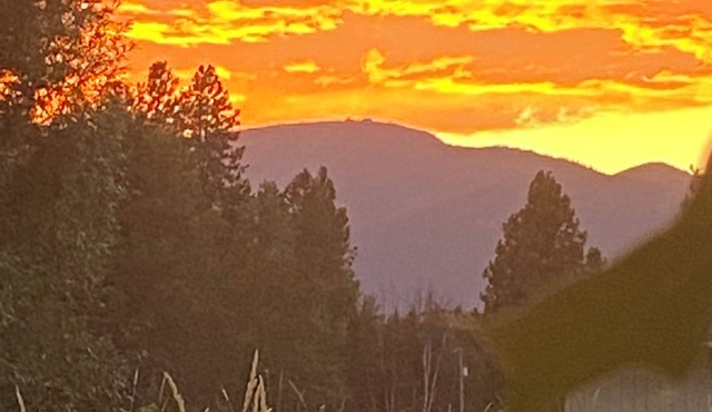 Charming studio in beautiful Sandpoint Idaho.