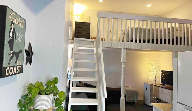 Charming studio apt with loft in downtown RLF.