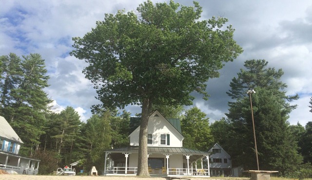 Charming waterfront Mascoma Lake cottage with private beach and dock. ☀️