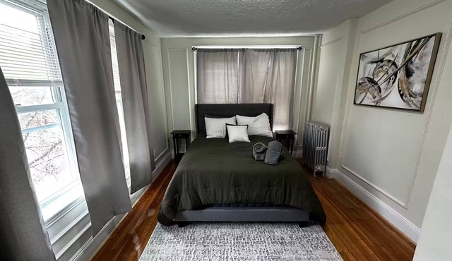 Coolidge corner entire 1bed apt