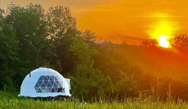 Dome 4 at Come Spring Farm