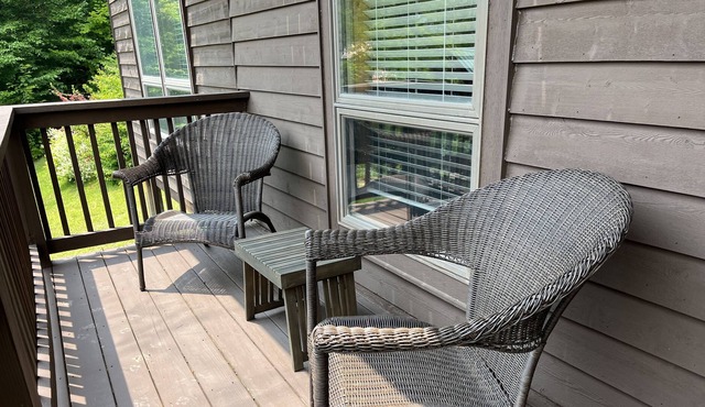 Franklin’s Tower: Mountain Views, Hot Tub, Dog-Friendly in Davis