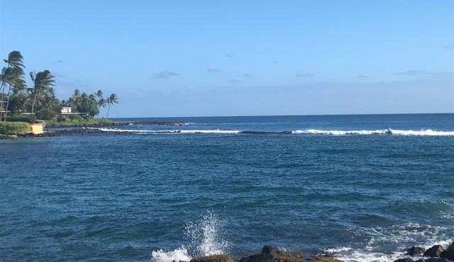 Fully Renovated Oceanfront with Air Cond. Ground Floor Unit with Spacious Lanai!
