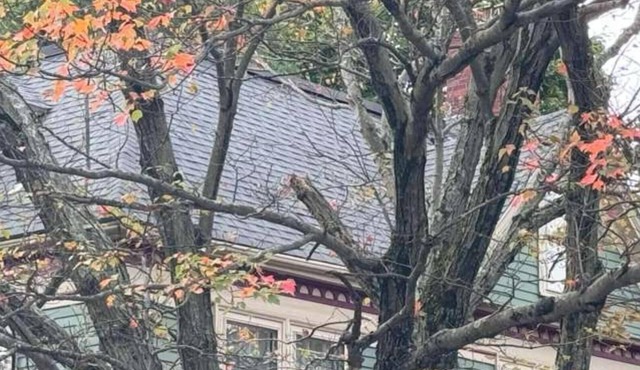 Harvard House - 3BR Retreat adjacent to university
