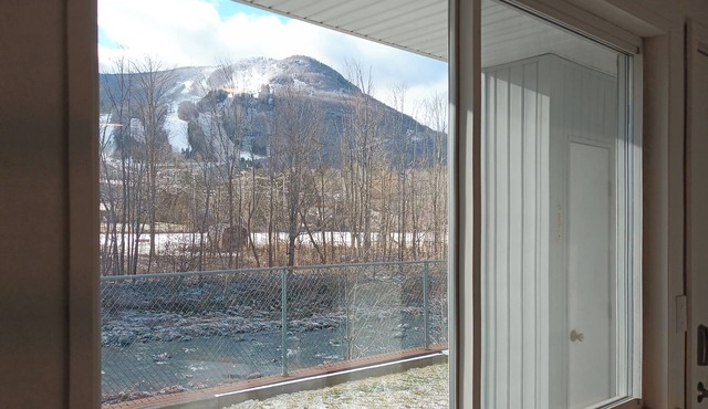Hunter condo with a view
