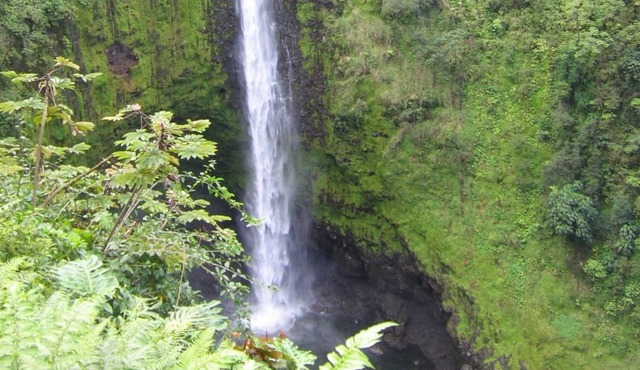 Ixchel Hawaii