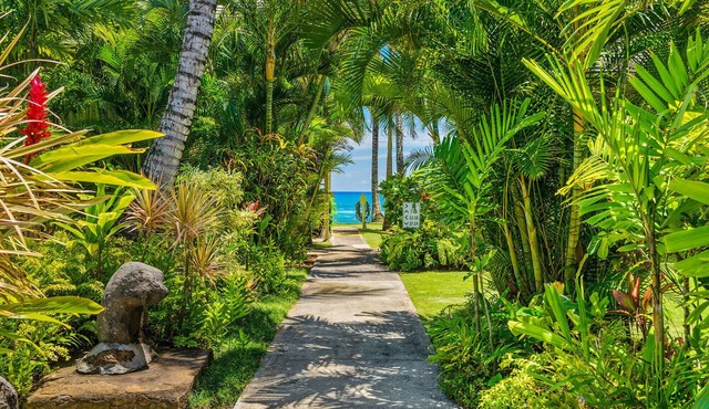 Kapaa Sands