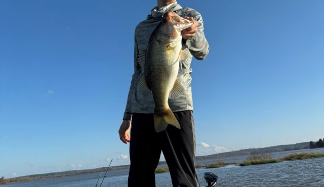Lake Eufaula Alabama family, fishing and fun! Tournament fisherman welcome!