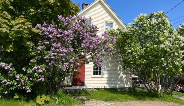 Lilac Cottage a Little Gem on Cottage Street