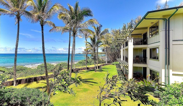 Luxury 3-Bed Ocean Villa at Turtle Bay.