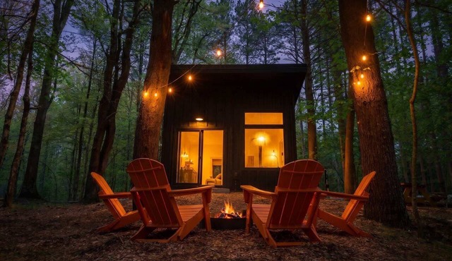 Modern, Luxurious Cabin in the Woods - 03