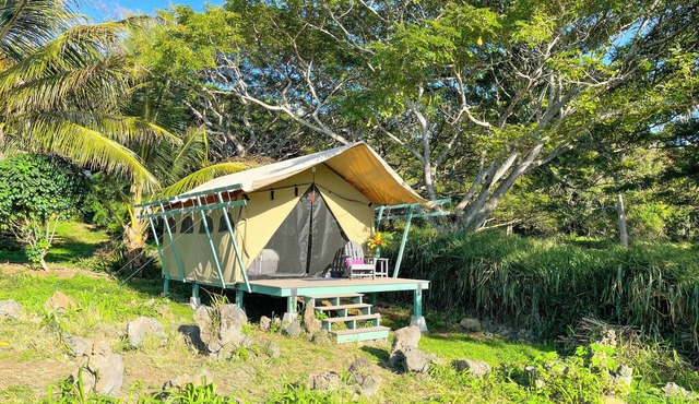 Monkeypod Canopy with Shared Bath and Common House