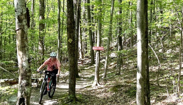 Mountain Hideaway condo - next to PICO and 10min to Killington!