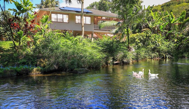 Paddle to the Beach from a Secluded Riverfront Eden-A/C-Central to Hanalei&Ke'e