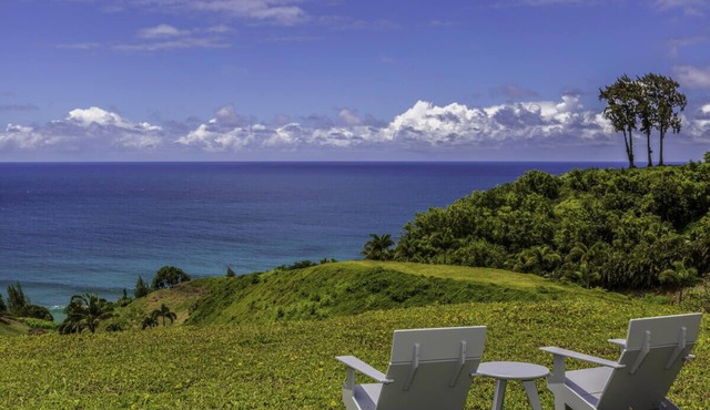 Panoramic views, lush mountains and blue waters