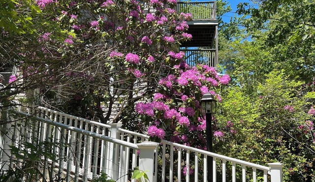 Peaceful retreat among the trees only a five minute walk to Perkins Cove