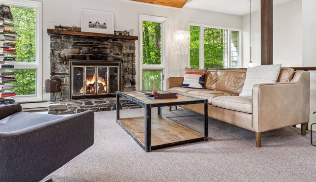 Pet-Friendly, Mountainside Home - Treetop Lodge