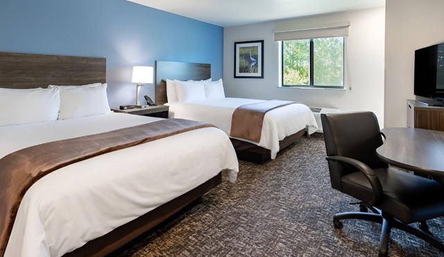 Pet-Friendly Studio Perfect for Family Adventures and Professionals on Business