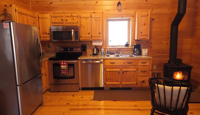 Private Cozy Mountain Cabin Hideaway