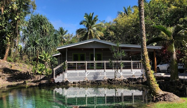 Private home across the street from the beach. Minutes from downtown Hilo