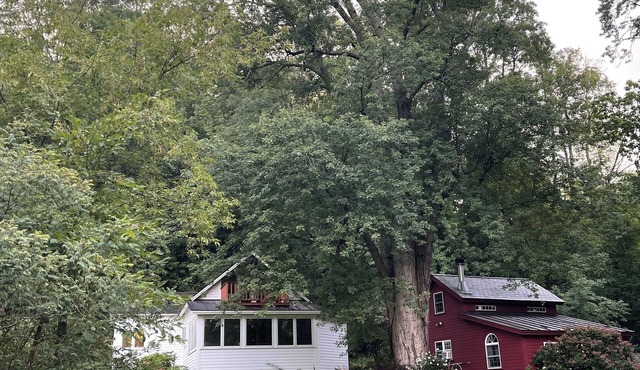 REMOTE, ROMANTIC, RELAXING, RURAL VERMONT DIRECT WATERFRONT