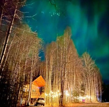 Riverfront, Authentic, Luxury Log Cabin-Black Bear