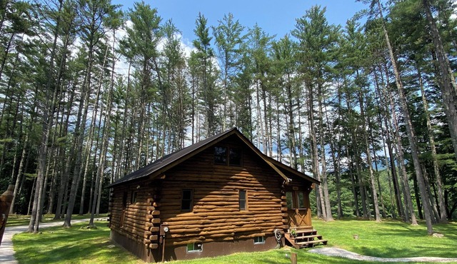Riverfront Log Cabin with Mountain Views - Hot Tub & Wood Burning Fireplace