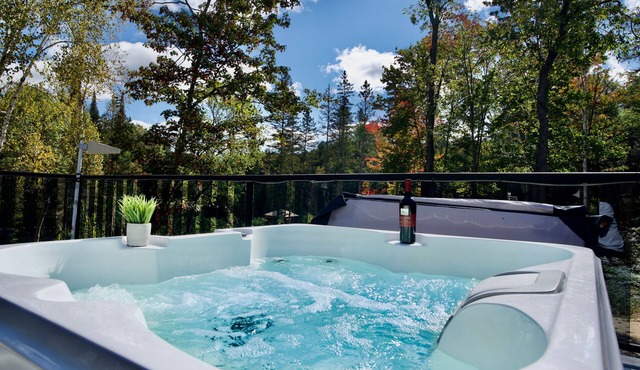 Riverfront Oasis on 55 Pvt Acres with Wifi , Sauna and Hot Tub
