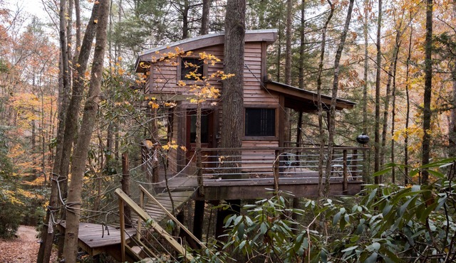 Sylvan Float Treehouse: Our First & Sweetest Treehouse!