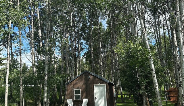 The Aspen Abode - Cozy 1-bedroom cabin in peaceful Kalispell with AC