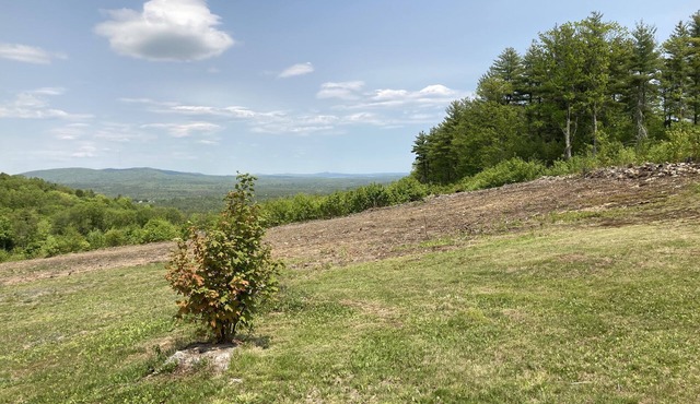 This cozy apartment is situated on 20 acres with a distant view of Sebago Lake.