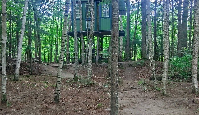 White Mountain riverside Treehouse