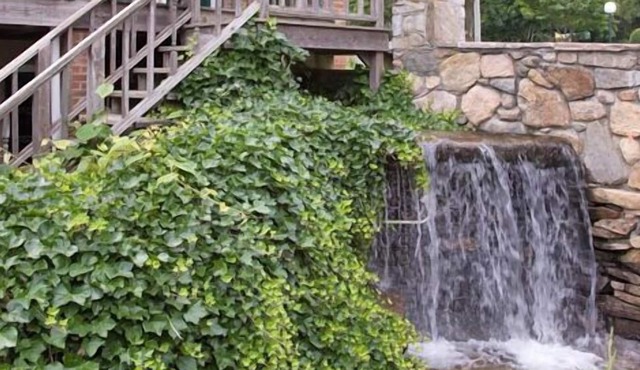 Winnapaug Inn
