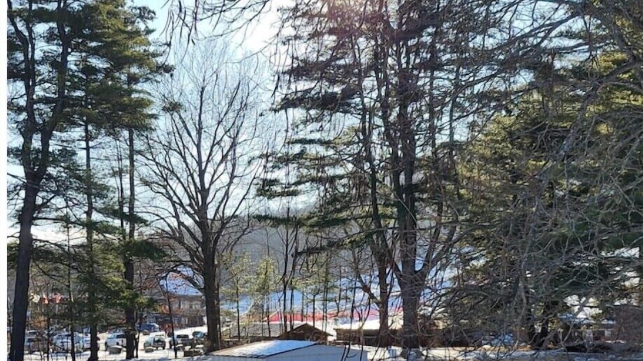 Photo of Others in Queensbury